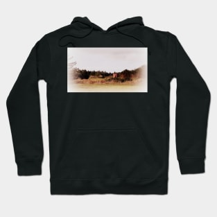 train at Ft Stevens Hoodie